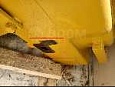 Коробка передач ZL50B- 011 + гтр YJSW315-6J01/SL50W уценка Коробка передач ZL50B- 011 + гтр YJSW315-6J01/SL50W уценка