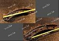 Сегмент звездочки (5 зубов) 154-27-12293 уценка Сегмент звездочки (5 зубов) 154-27-12293 уценка